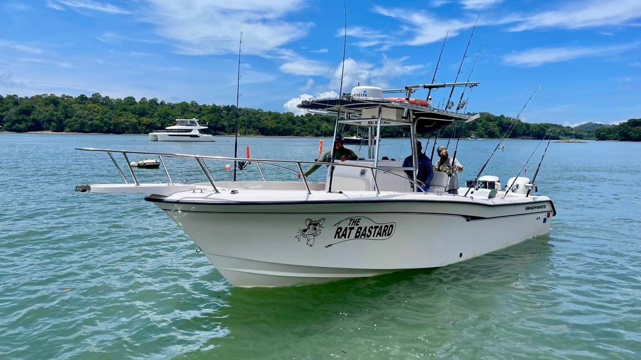 IMG_20251016_190648_7