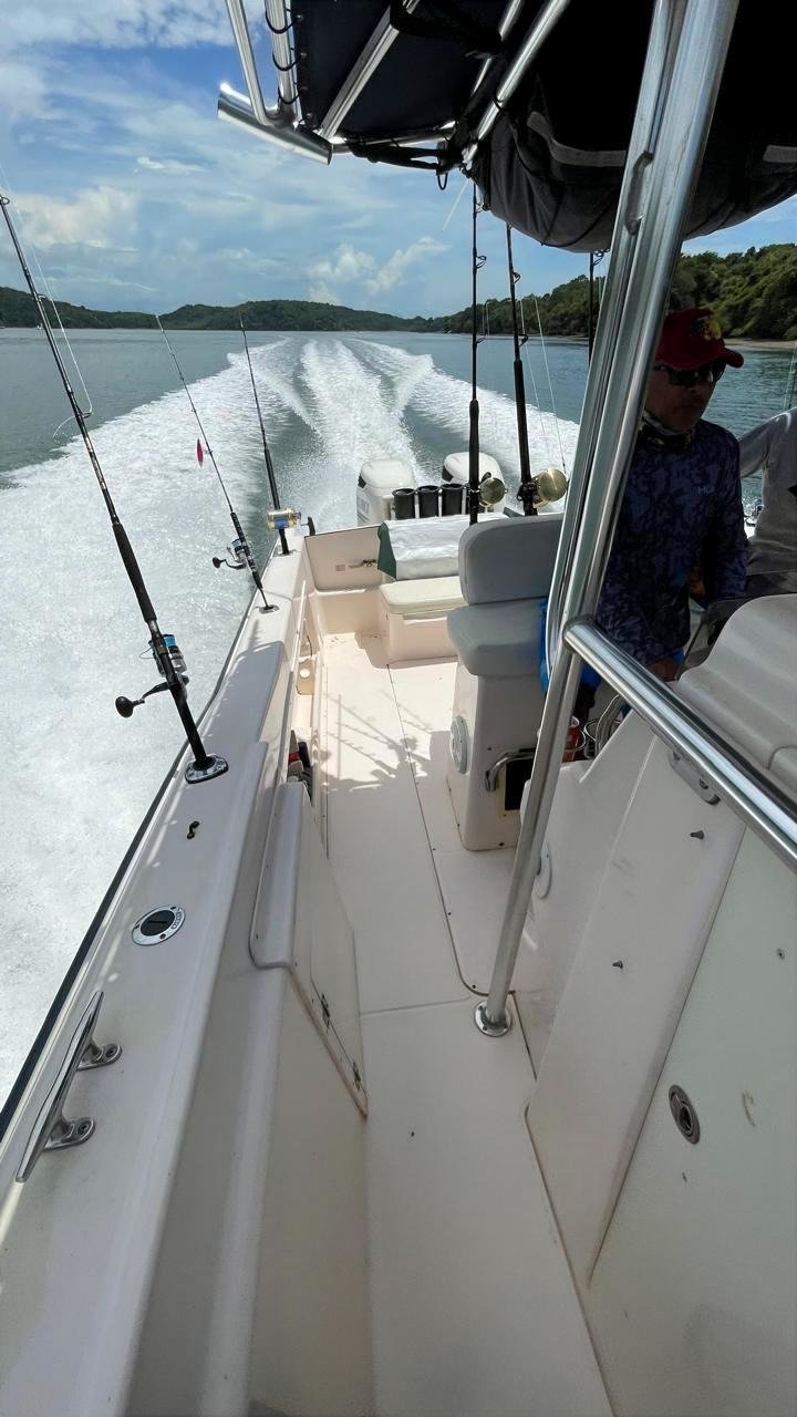 IMG_20251016_190649_2