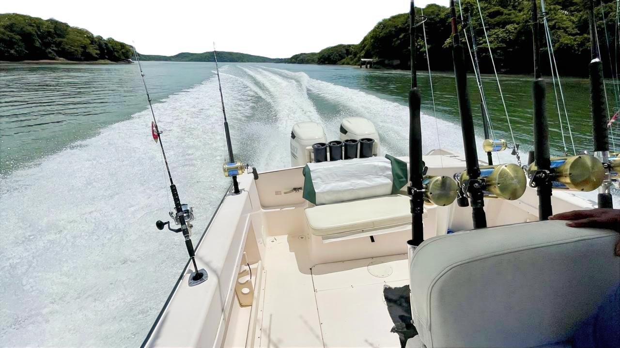 IMG_20251016_190650_1