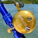 IMG_20251021_141202_1