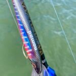 IMG_20251021_141246_1