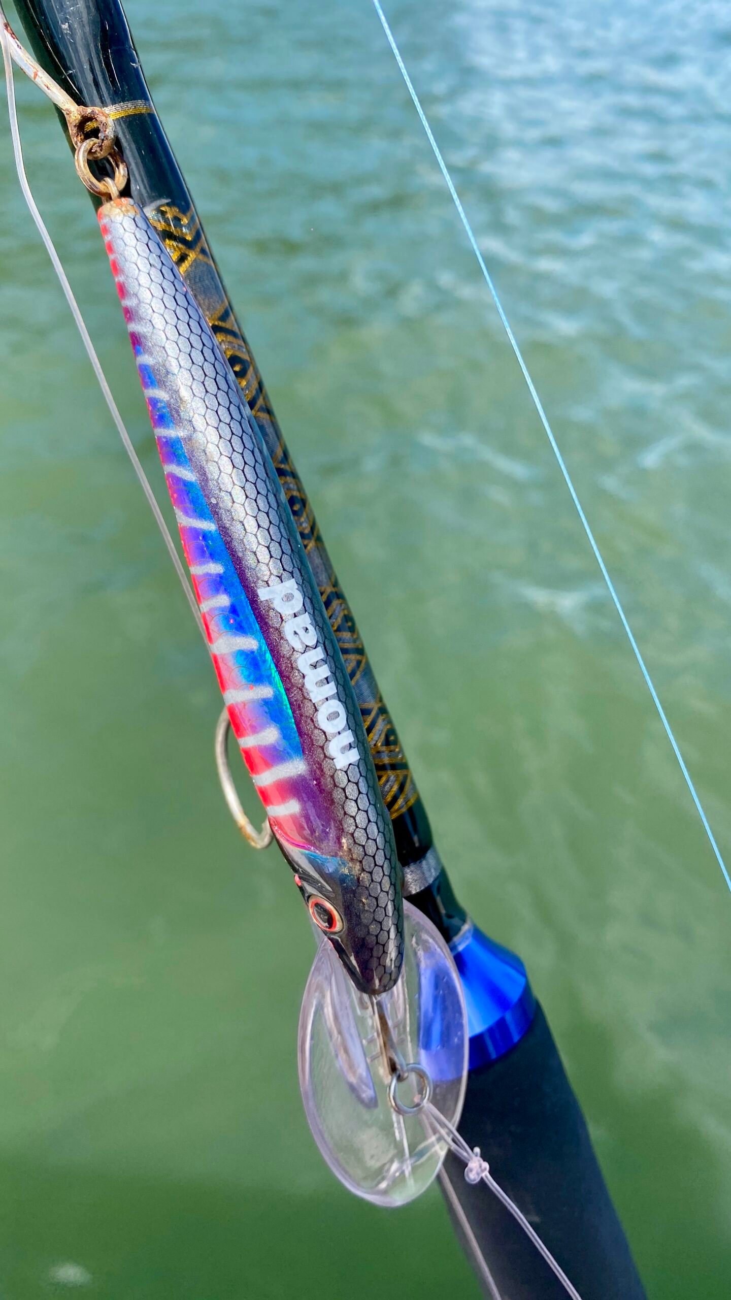 IMG_20251021_141246_1